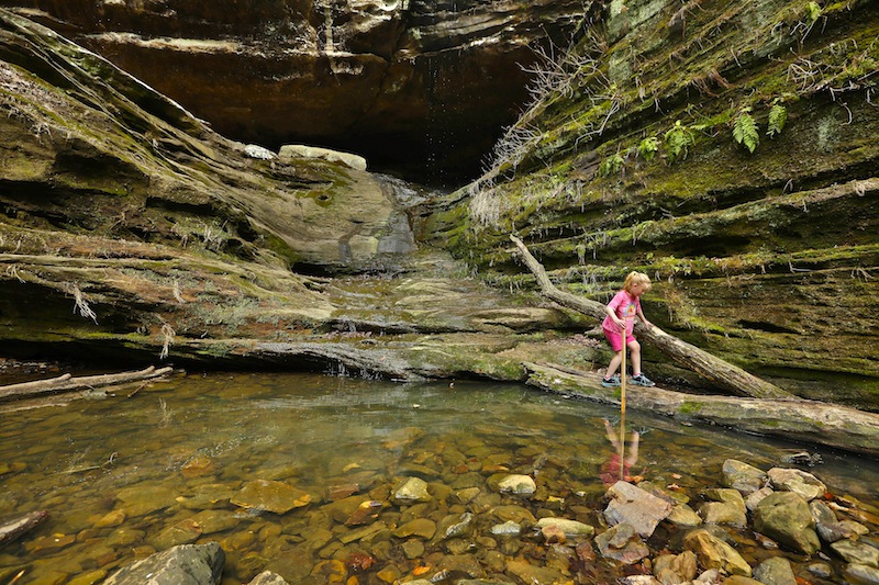 scenic-forests-ancient-cliffs-of-southern-illinois-are-about-to-get