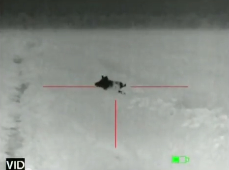 Hog-Hunting YouTube Video Inspires Colorado Drone Ban - TPM – Talking ...