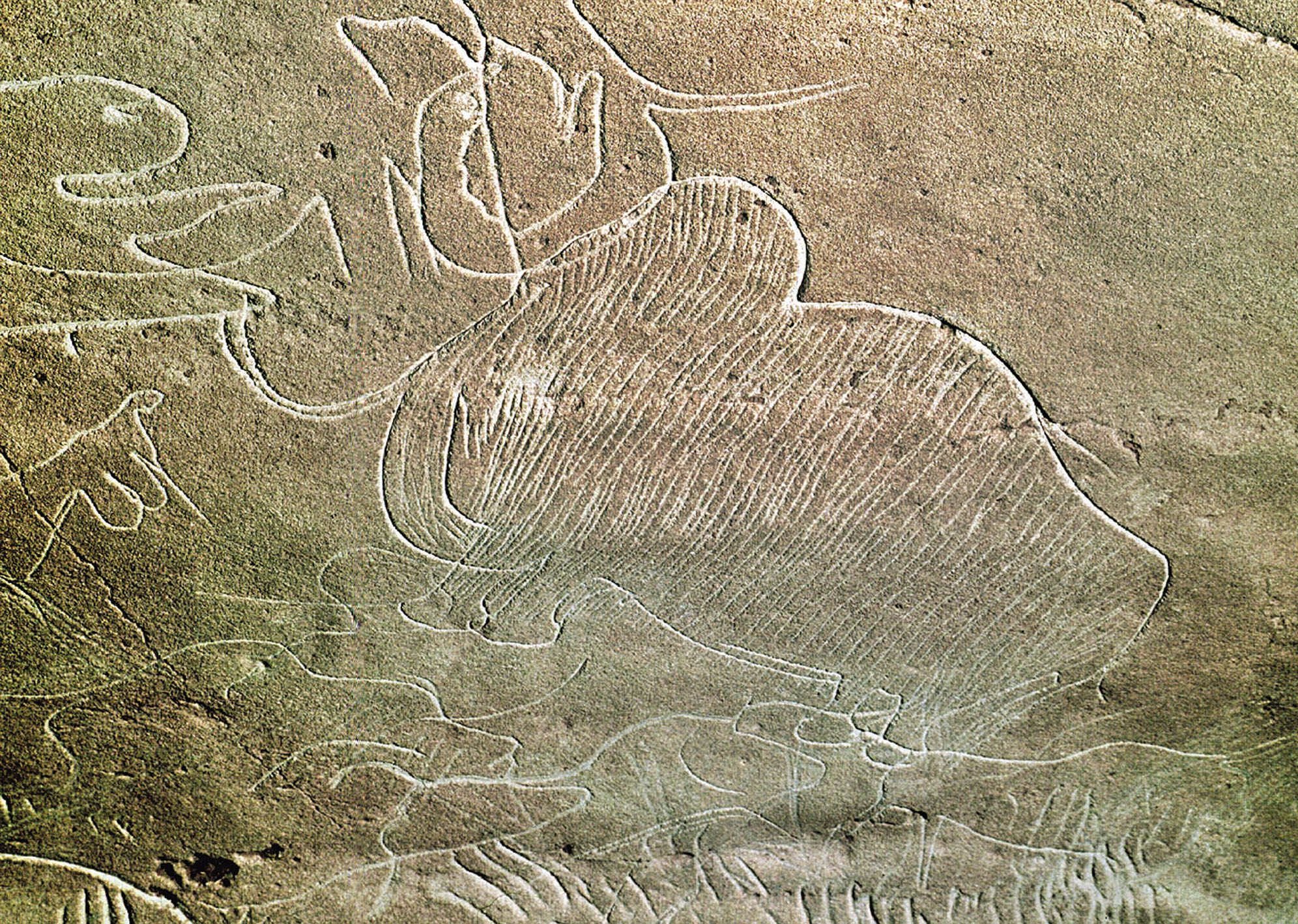 Study Claims Cave Art Made By Neanderthals - TPM – Talking Points Memo
