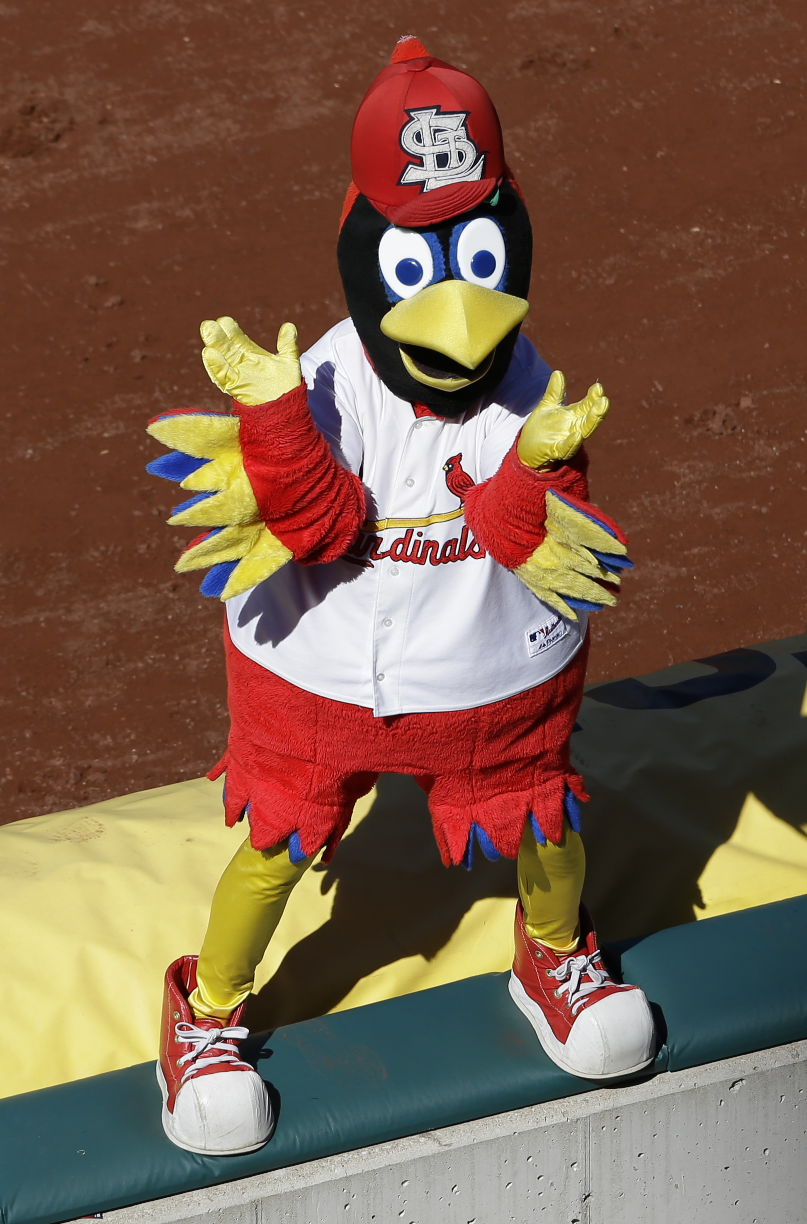 STL Cardinals Ask Cops To Remove 'Police Lives Matter' Photo Of Mascot -  TPM – Talking Points Memo