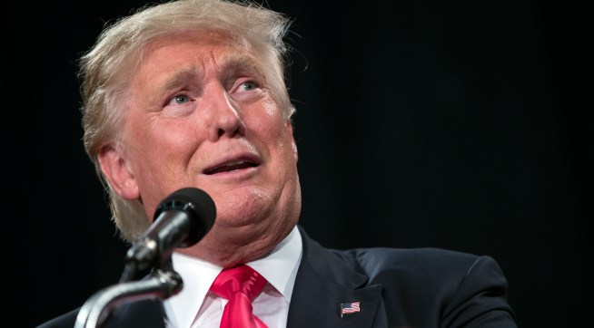 Republican presidential candidate Donald Trump speaks during a campaign rally, Monday, July 25, 2016, in Winston-Salem, N.C. (AP Photo/Evan Vucci)
