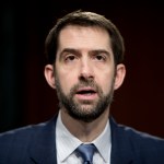 Sen. Tom Cotton, R-Ark., questions Federal Reserve Chair Janet Yellen as she testifies in front of the Senate Banking Committee in Washington, Tuesday, Feb. 14, 2017. (AP Photo/Andrew Harnik)