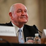 Former Georgia Gov. Sonny Perdue takes his seat before testifying before the Senate Agriculture, Nutrition and Forestry Committee on Capitol Hill in Washington, Thursday, March 23, 2017. (AP Photo/Pablo Martinez Monsivais)
