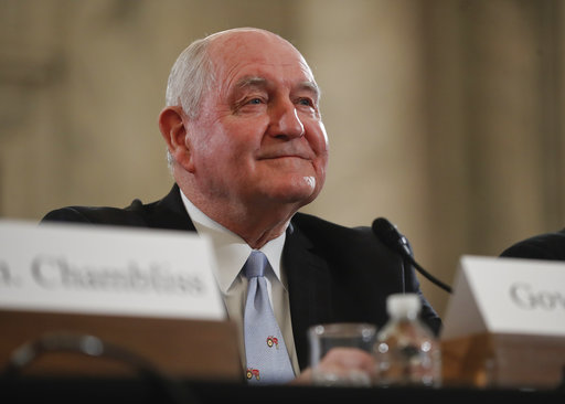 Former Georgia Gov. Sonny Perdue takes his seat before testifying before the Senate Agriculture, Nutrition and Forestry Committee on Capitol Hill in Washington, Thursday, March 23, 2017. (AP Photo/Pablo Martinez Monsivais)