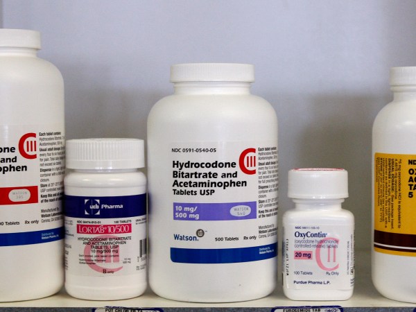 at the Oklahoma City Zoo in Oklahoma City, Thursday, Aug. 5, 2010. (AP Photo/Sue Ogrocki)