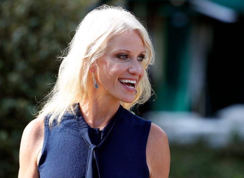 Counselor to the President Kellyanne Conway speaks with a reporter at the White House, Monday, July 10, 2017, in Washington. (AP Photo/Alex Brandon)