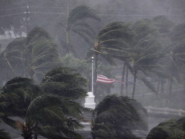 An American flag is torn as Hurricane Irma passes through Naples, Fla., Sunday, Sept. 10, 2017. (AP Photo/David Goldman)