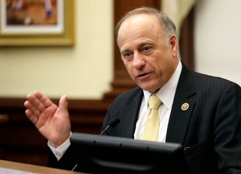 FILE - In this Jan. 23, 2014, file photo, Republican U.S. Rep. Steve King speaks in Des Moines, Iowa. King has proposed an amendment to a government spending bill that would block U.S. Treasury officials from changing the look of U.S. currency. (AP Photo/Charlie Neibergall, File)