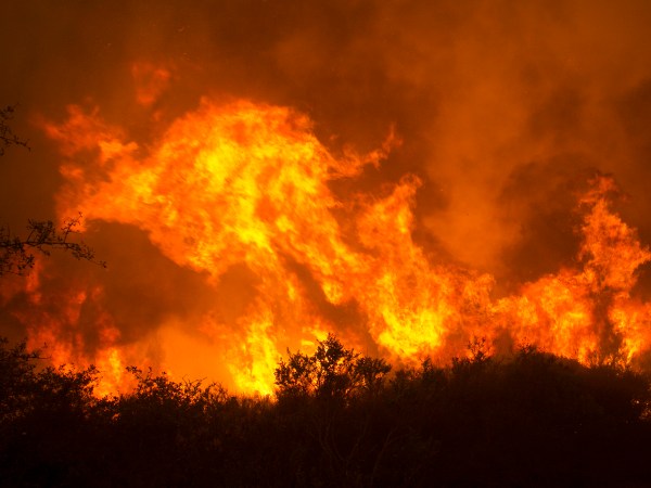 Flames from a massive wildfire burn  Monday, Oct. 9, 2017, in Napa, Calif.  (AP Photo/Rich Pedroncelli)