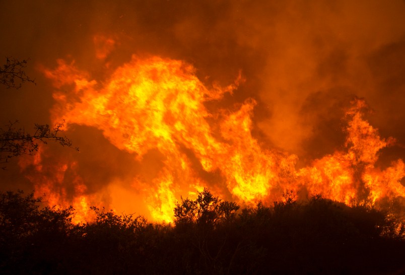 Flames from a massive wildfire burn  Monday, Oct. 9, 2017, in Napa, Calif.  (AP Photo/Rich Pedroncelli)