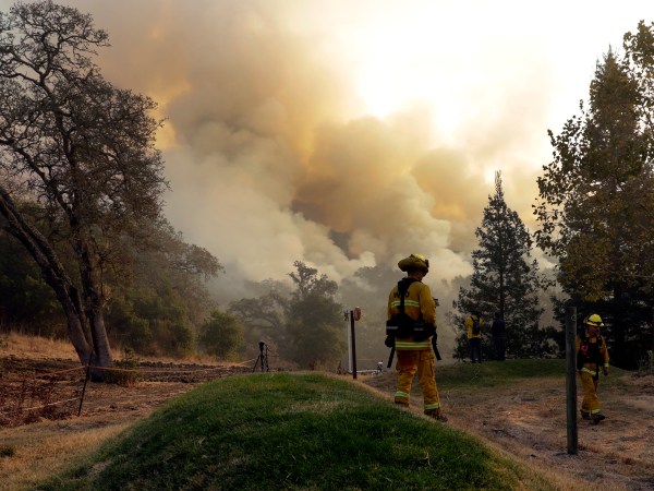 Firefighters walk along a containment line as a wildfire burns Saturday, Oct. 14, 2017, in Sonoma, Calif. (AP Photo/Marcio Jose Sanchez)