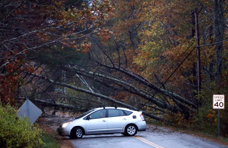 A motorist turns around after finding downed pine trees blocking Flying Point Road during a storm in Freeport, Maine, Monday, Oct. 30, 2017.  A strong wind storm has caused widespread power outages. (AP Photo/Robert F. Bukaty)