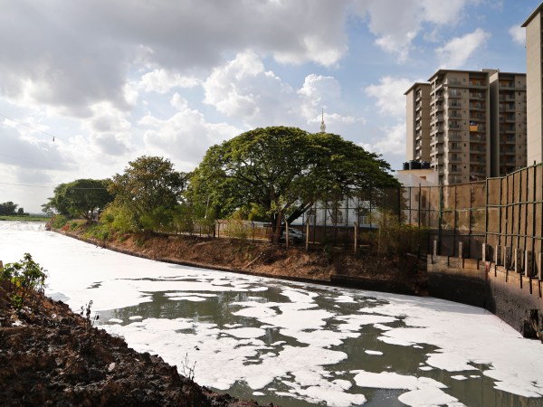 Toxic froth from industrial pollution floats on Bellundur Lake on World Environment Day, in Bangalore, India, Monday, June 5, 2017. The World Environment Day is celebrated on June 5 every year by the United Nations to stimulate global awareness on environmental issues. (AP Photo/Aijaz Rahi)