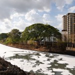 Toxic froth from industrial pollution floats on Bellundur Lake on World Environment Day, in Bangalore, India, Monday, June 5, 2017. The World Environment Day is celebrated on June 5 every year by the United Nations to stimulate global awareness on environmental issues. (AP Photo/Aijaz Rahi)