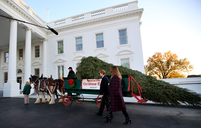 First lady Melania Trump and her son Barron Trump, look at the Wisconsin-grown Christmas Tree at the North Portico of the White House in Washington, Monday, Nov. 20, 2017. The tree will be displayed in the White House Blue Room.  (AP Photo/Manuel Balce Ceneta)