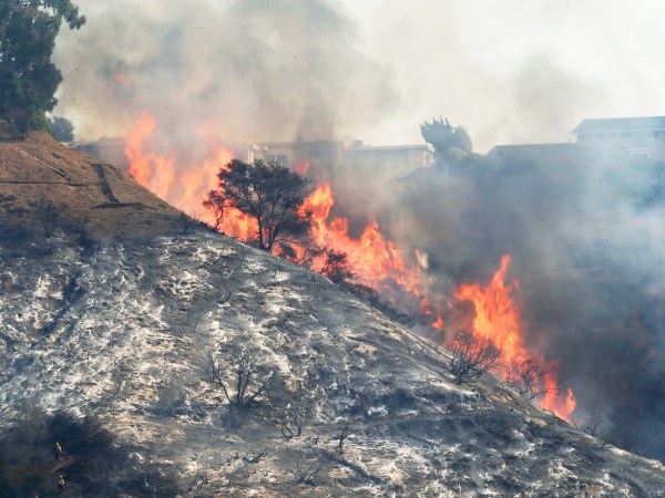 Flames sweep up a steep canyon wall, threatening homes on a ridgeline as the Skirball wildfire swept through the Bel Air district of Los Angeles Wednesday, Dec. 6, 2017. (AP Photo/Reed Saxon)