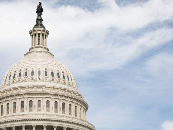 A view of the Capitol Dome from the West Lawn of the U.S. Capitol, on Monday, July 3, 2017.  (Photo by Cheriss May/NurPhoto)