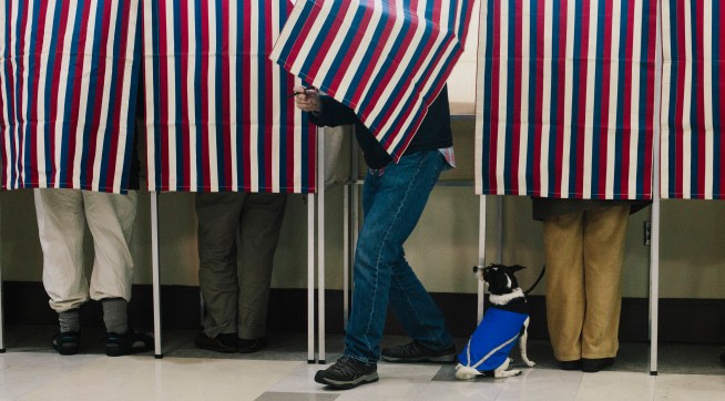 PORTLAND, ME - NOVEMBER 4: Bonnie MacInnis votes while her rat terrier/jack Russell mix named Theodore watches from the bottom of the voting booth at the Merrill Auditorium Rehearsal Hall in Portland, ME on Tuesday, November 4, 2014. (Photo by Whitney Hayward/Staff Photographer)