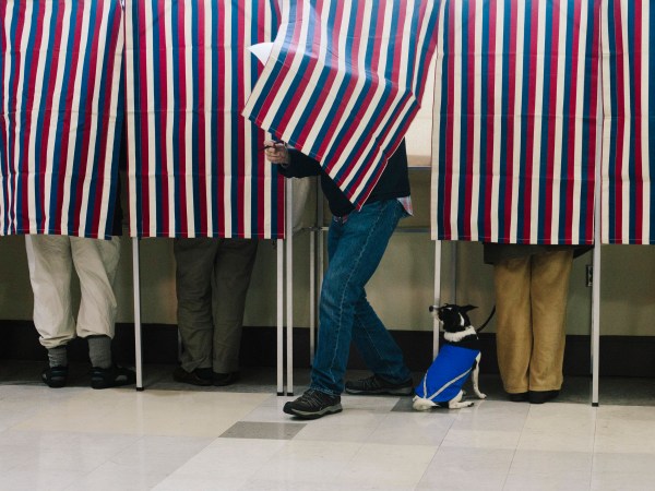 PORTLAND, ME - NOVEMBER 4: Bonnie MacInnis votes while her rat terrier/jack Russell mix named Theodore watches from the bottom of the voting booth at the Merrill Auditorium Rehearsal Hall in Portland, ME on Tuesday, November 4, 2014. (Photo by Whitney Hayward/Staff Photographer)