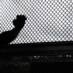 on June 21, 2018 in Brownsville, Texas.