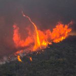 The Holy fire burns in the Cleveland National Forest behind homes along Crystal Ridge Court in Lake Elsinore on Wednesday afternoon, August 8, 2018. (Photo by Mark Rightmire, Orange County Register/SCNG)