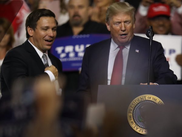 on July 31, 2018 in Tampa, Florida.