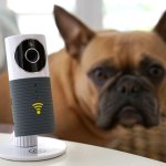 The Sinji Smart WiFi Camera is a high-resolution security camera that keeps an eye on your home, morning or night.