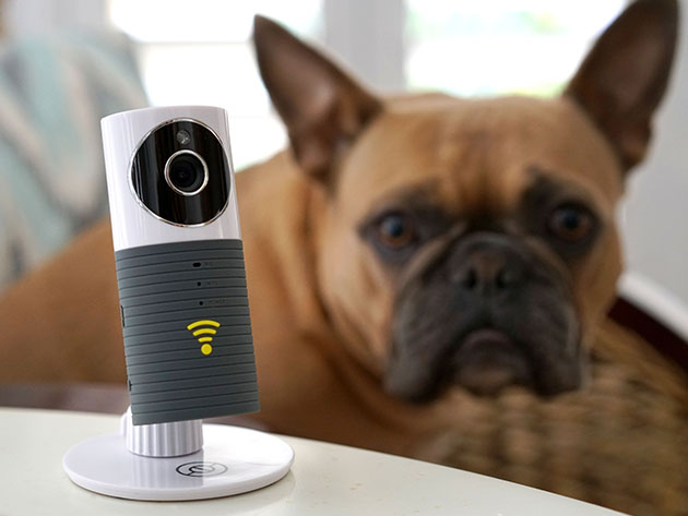 The Sinji Smart WiFi Camera is a high-resolution security camera that keeps an eye on your home, morning or night.
