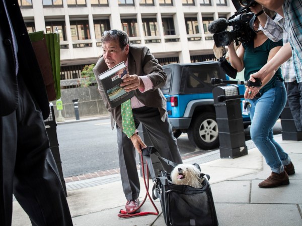 WASHINGTON, DC - SEPTEMBER 7: Randy Credico and his dog Bianca arrive at U.S. District Court, September 7, 2018 in Washington, DC. Credico, a comedian with ties to Roger Stone, was subpoenaed by special counsel Robert Mueller and will testify before the grand jury on Friday. (Photo by Drew Angerer/Getty Images)