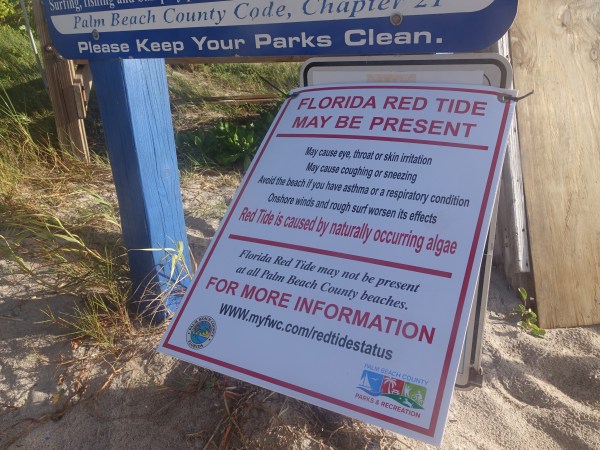 A red tide warning sing is seen at the Ocean Inlet Park in Ocean Ridge, Fla., Thursday, Oct. 4, 2018. Officials have confirmed that red tide has appeared on Florida's Atlantic Coast.  (Joe Cavaretta/South Florida Sun Sentinel/TNS)
