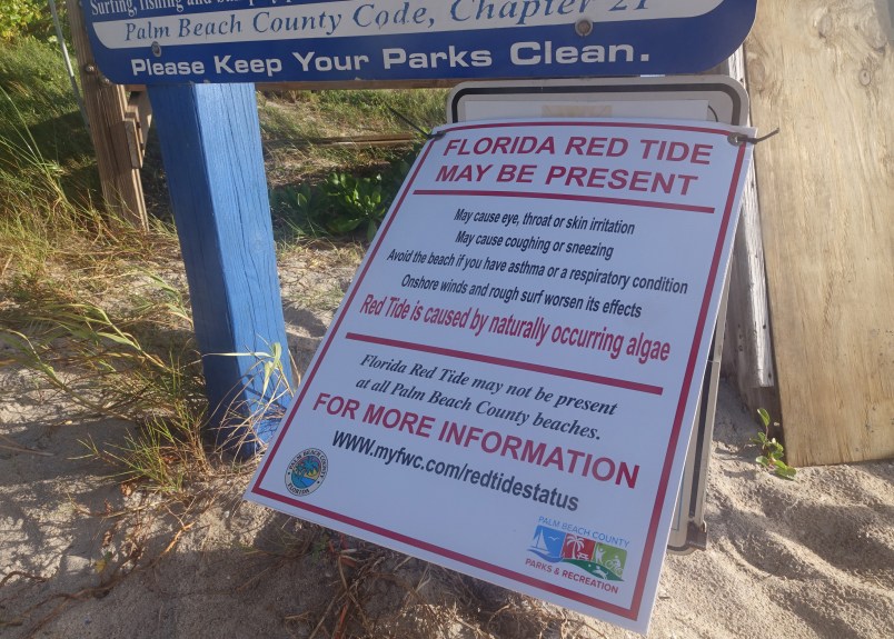 A red tide warning sing is seen at the Ocean Inlet Park in Ocean Ridge, Fla., Thursday, Oct. 4, 2018. Officials have confirmed that red tide has appeared on Florida's Atlantic Coast.  (Joe Cavaretta/South Florida Sun Sentinel/TNS)