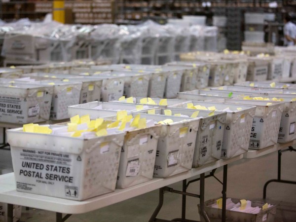 PALM BEACH, FL - NOVEMBER 18: Election ballot trays  at the Supervisor of Elections Service Center on November 18, 2018 in Palm Beach, Florida. (Photo by Saul Martinez/Getty Images)