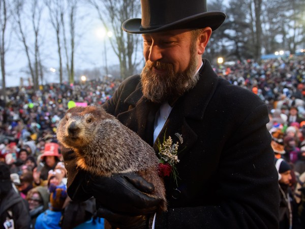 PUNXSUTAWNEY, PA - FEBRUARY 02:Handler AJ Dereume holds Punxsutawney Phil after he did not see his shadow predicting an early spring  during the 133rd annual Groundhog Day festivities on February 2, 2019 in Punxsutawney, Pennsylvania. Groundhog Day is a popular tradition in the United States and Canada. A crowd of upwards of 30,000 people spent a night of revelry awaiting the sunrise and the groundhog's exit from his winter den. If Punxsutawney Phil sees his shadow he regards it as an omen of six more weeks of bad weather and returns to his den. Early spring arrives if he does not see his shadow, causing Phil to remain above ground.   (Photo by Jeff Swensen/Getty Images)