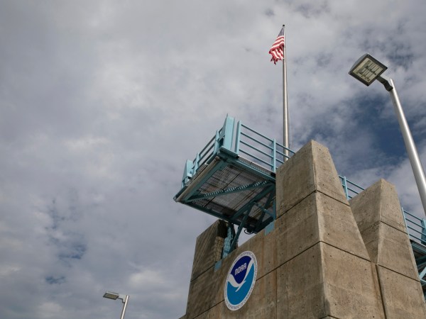 MIAMI, FL - AUGUST 29: The logo of National Oceanic and Atmospheric Administration (NOAA) is seen at the Nation Hurricane Center on August 29, 2019 in Miami, Florida. (Photo by Eva Marie Uzcategui/Getty Images)
