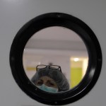 A health worker wearing a face mask looks out of from a window at a nursing homes in Madrid, Spain, Tuesday, March 31, 2020. The new coronavirus causes mild or moderate symptoms for most people, but for some, especially older adults and people with existing health problems, it can cause more severe illness or death. (AP Photo/Manu Fernandez)