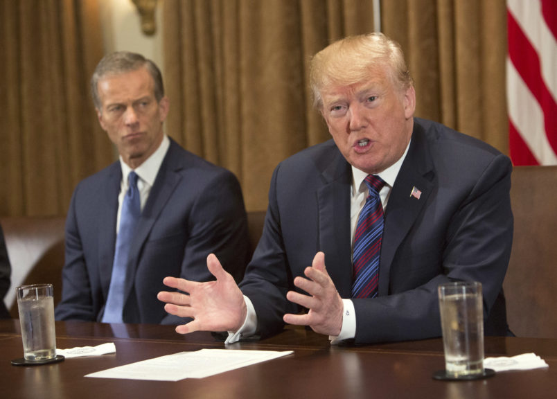WASHINGTON, DC - APRIL 12: (AFP OUT)  U.S. President Donald Trump participates in a meeting on trade with governors and members of Congress at the White House on April 12, 2018 in Washington, DC. Seated left is Senator John Thune(R-SD). (Photo by Chris Kleponis - Pool/Getty Images)