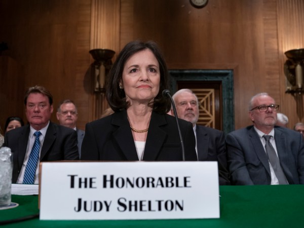 President Donald Trump's nominee to the Federal Reserve, Judy Shelton, appears before the Senate Banking Committee for a confirmation hearing, on Capitol Hill in Washington, Thursday, Feb. 13, 2020. (AP Photo/J. Scott Applewhite)