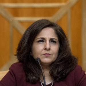 Neera Tanden, President Joe Biden’s nominee for Director of the Office of Management and Budget (OMB), appears beofre a Senate Committee on the Budget hearing on Capitol Hill in Washington, Wednesday, Feb. 10, 2021.(AP Photo/Andrew Harnik, Pool)