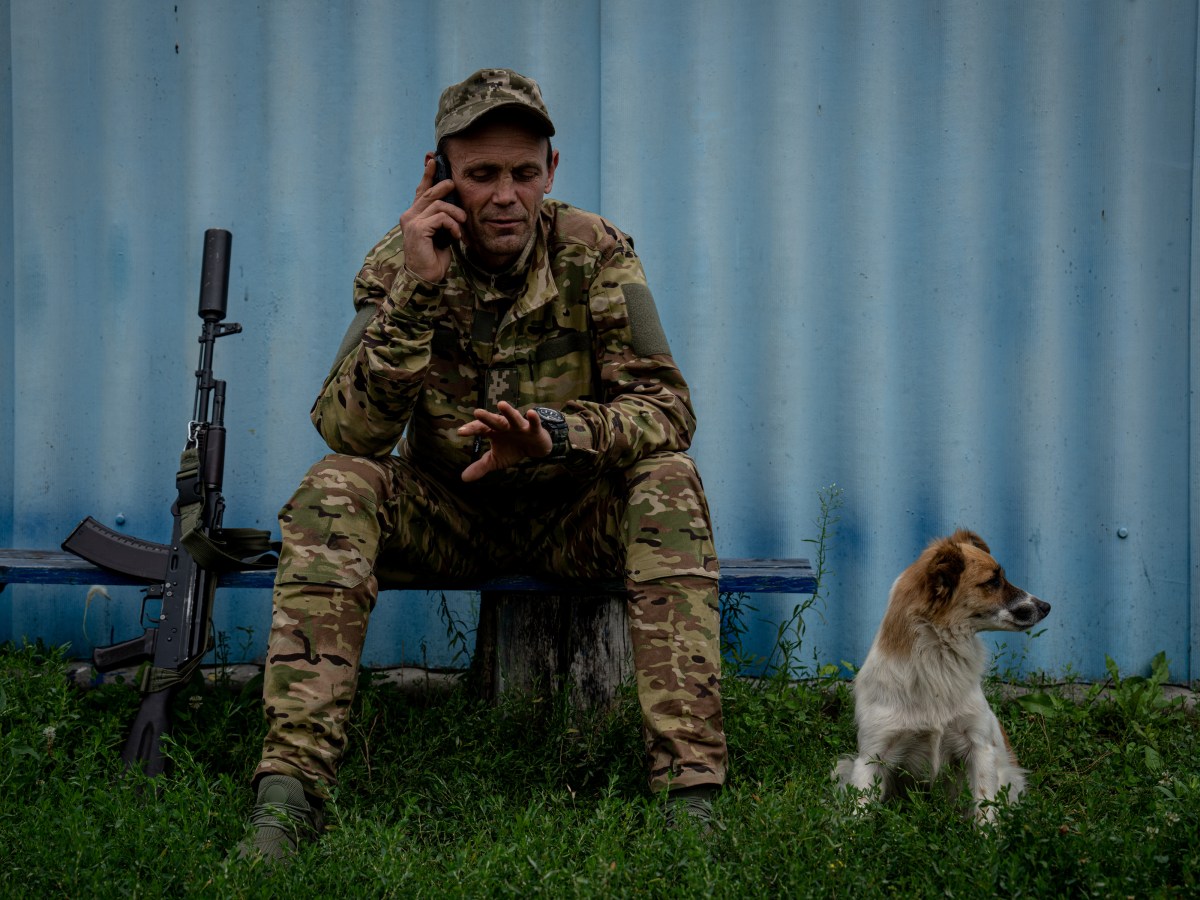 The Dogs (And Cats) Of War In Ukraine