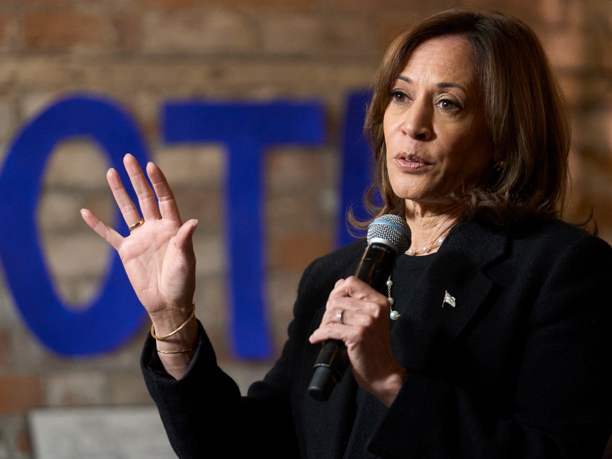 Kamala Harris Ratchets Up Her Attacks On Donald Trump’s Fascism