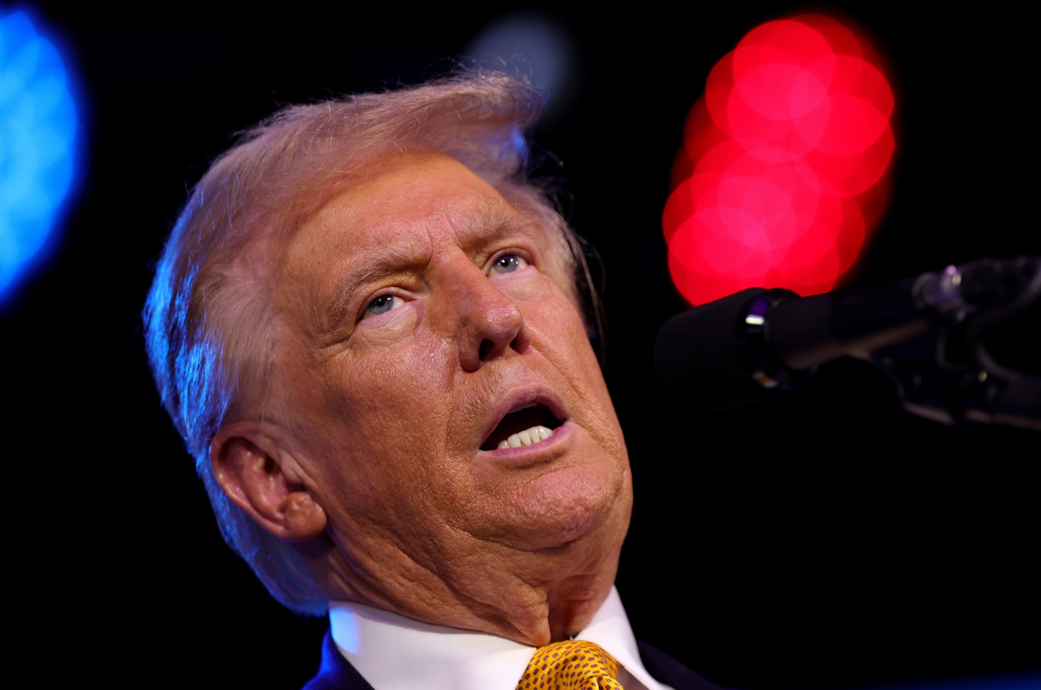それは実際には MAGA 内戦ではなく、ハンドルをめぐる戦いのようなものです