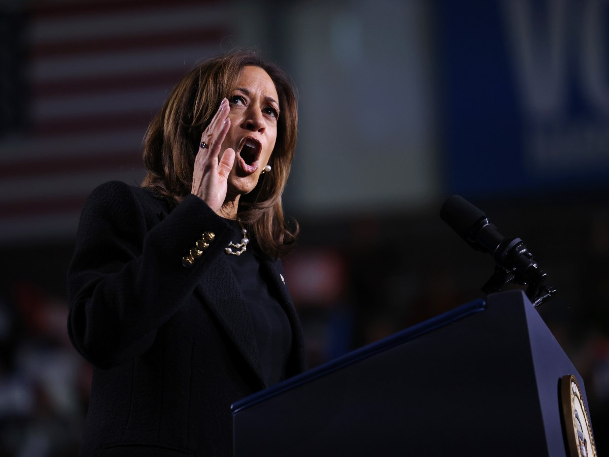 Harris Pushes To Make Strong Closing Vibes A Reality In Last Day Of Campaign