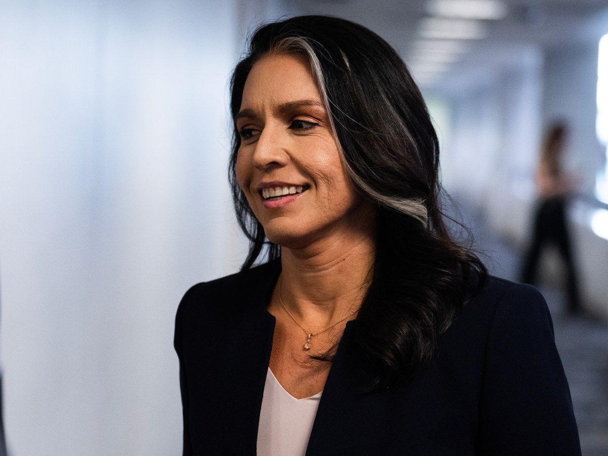 Why Former Followers Of Her Guru Fear Tulsi Gabbard As Director Of National Intelligence