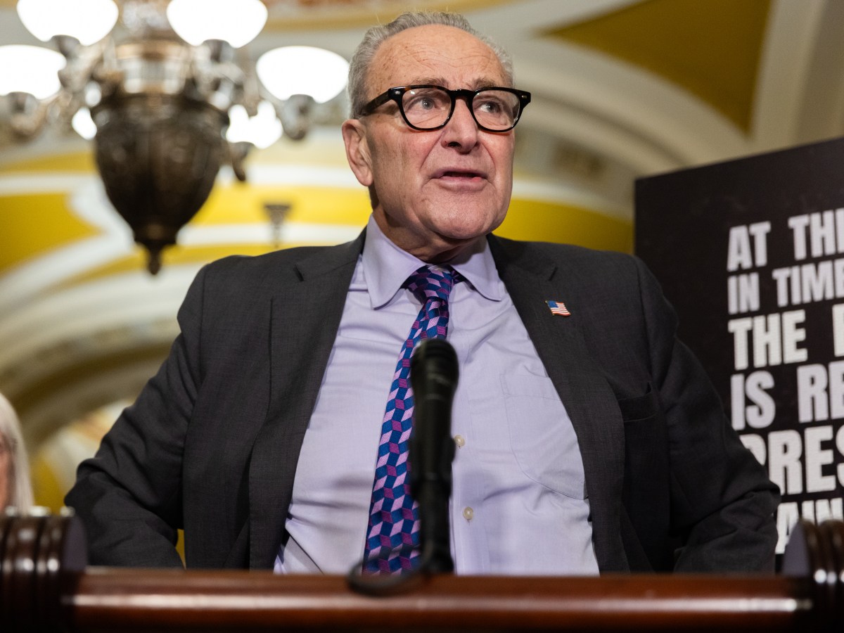 Schumer Never Endorsed Mamdani