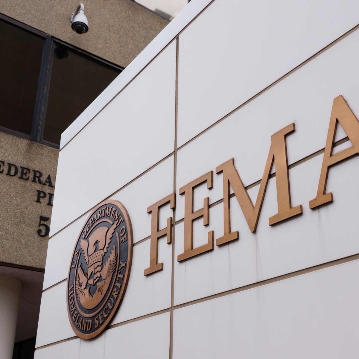 Trump Admin Taps Another 2020 Conspiracy Theorist for Leadership Role, This Time At FEMA