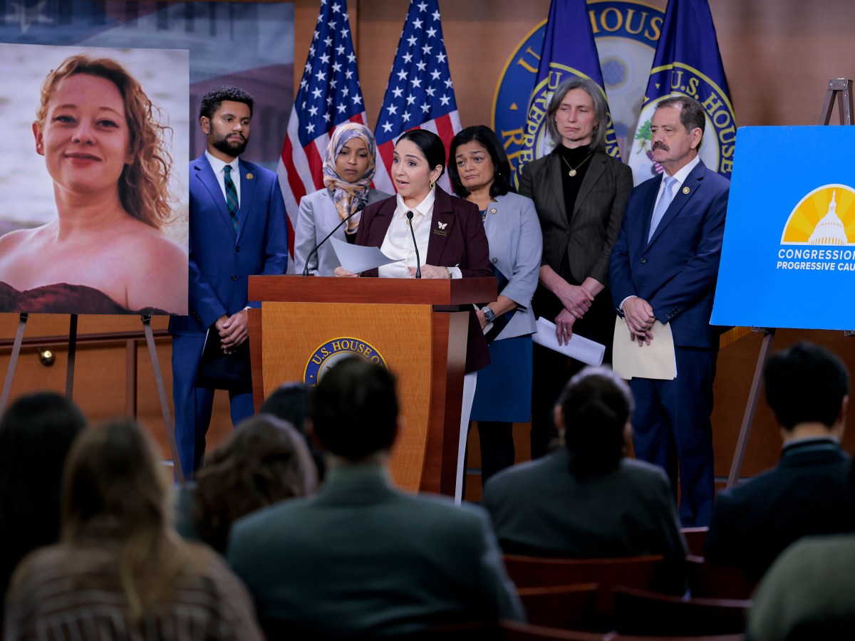 What Do Elected Democrats Actually Plan to Do About ICE?