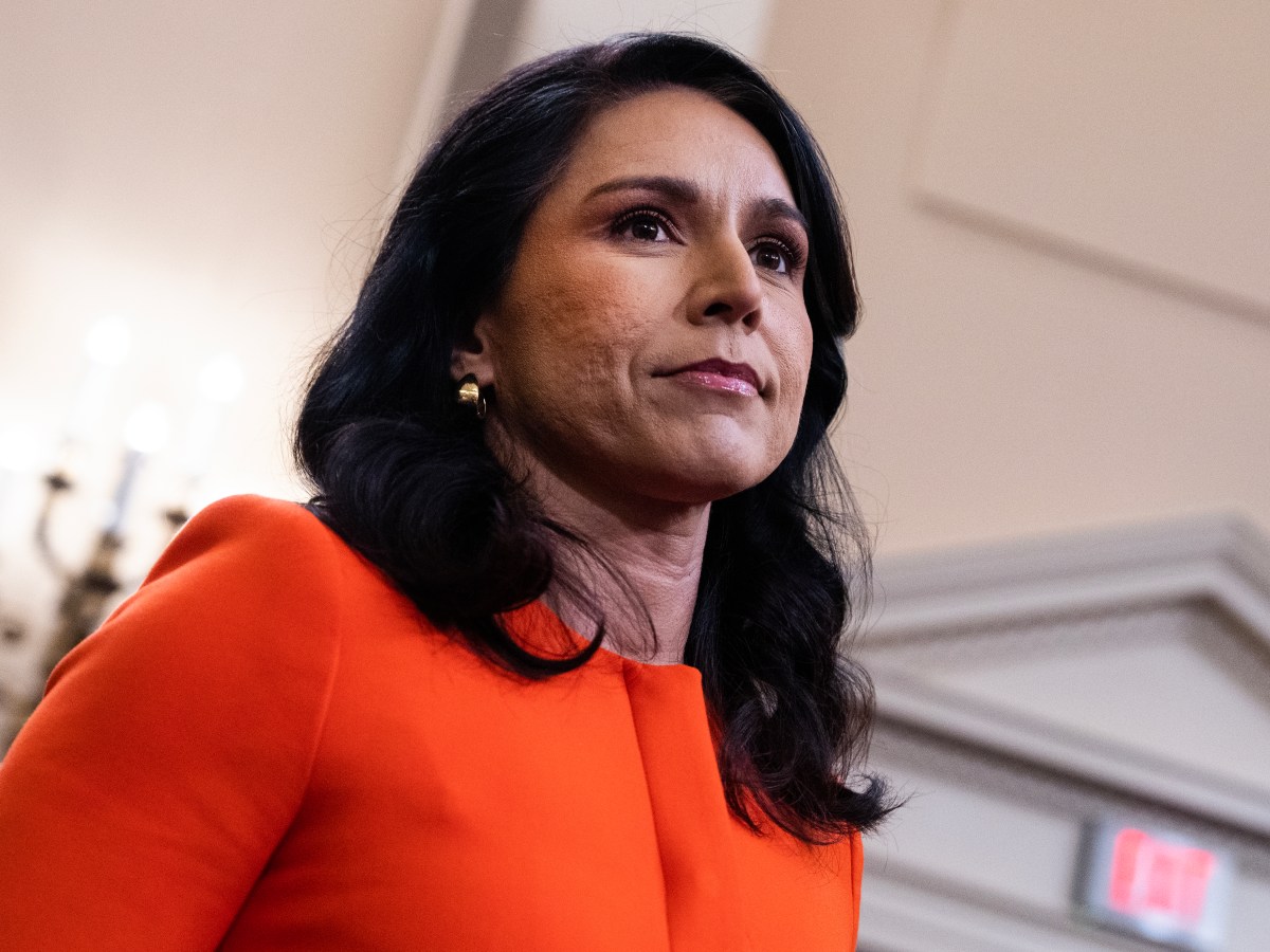 A Conspiracy Fueled Report Preceded ‘Black Pill’ Tulsi Gabbard’s Fulton County Election Raid