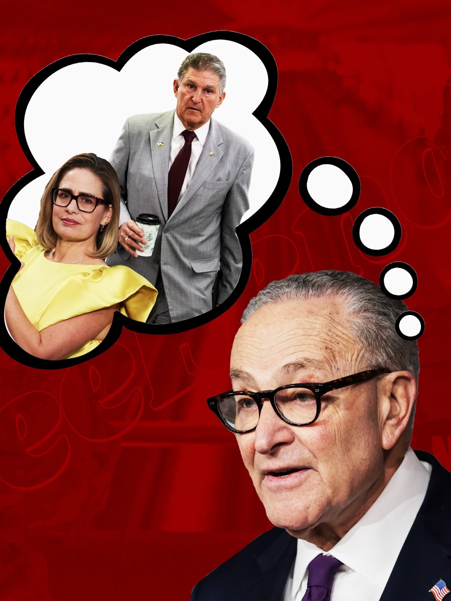 Thinking Back to Opportunities Lost While the Supreme Court Menaces the Voting Rights Act