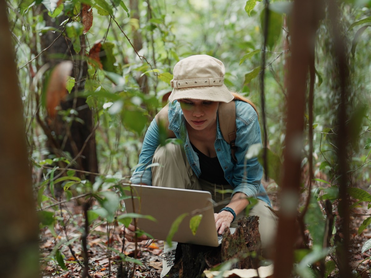 To Keep Climate Science Alive, Researchers Are Speaking in Code