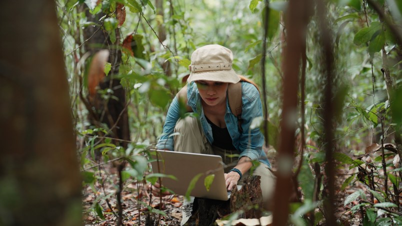 GettyImages-2181273803.jpg?w=804